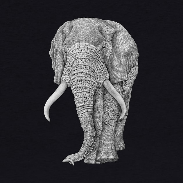 African elephant by Tim Jeffs Art